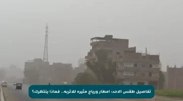 تفاصيل طقس الأحد: أمطار ورياح مثيرة للأتربة.. فماذا ينتظرك؟
